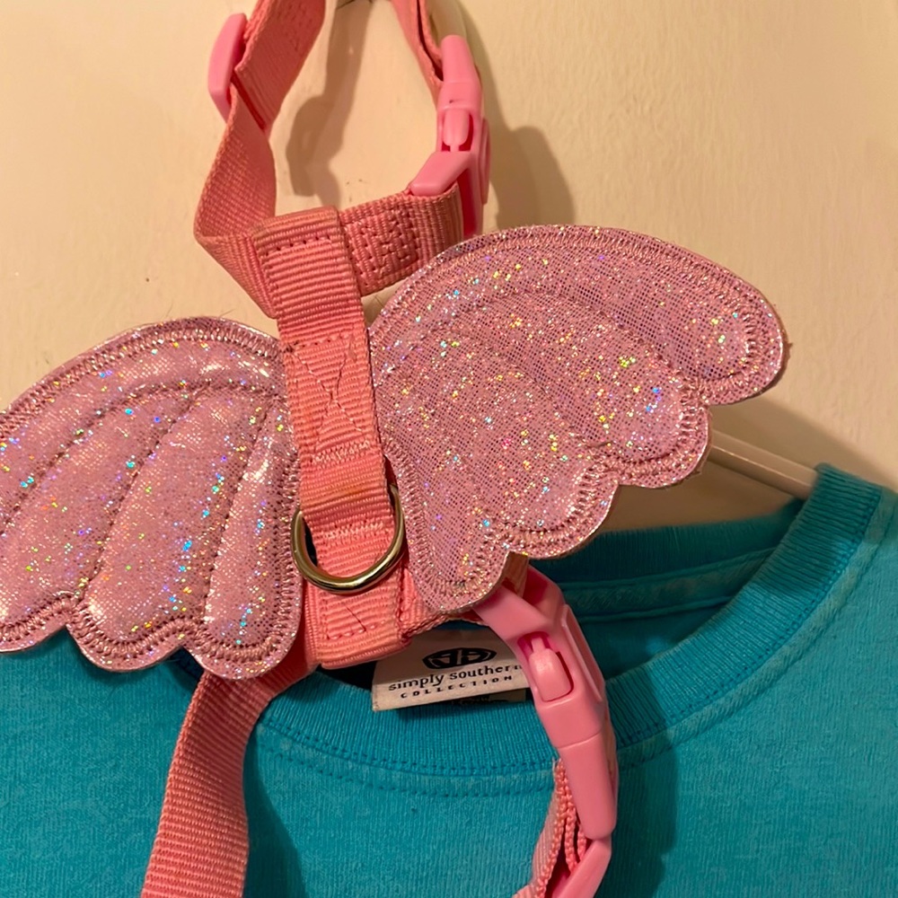 Angel dog leash